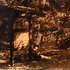 20110128185546-lingering