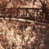 20110128190109-watching