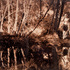 20110128190459-lost