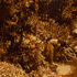 20110128195852-washing