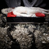 20110128220300-rites_of_the_queen