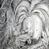 20110129043738-4_sarahhorvat_awakening_graphite_14x11