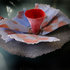 20110129065522-saare_mare_renaissance_2010