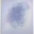 20110129133609-union_low