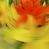 20110129143632-flowers_from_porn_star