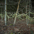20110130034005-ellie_davies_traces_3
