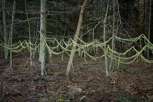20110130034005-ellie_davies_traces_3