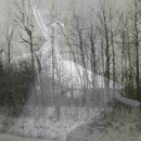 20110130175741-montage2copy