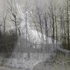 20110130175741-montage2copy