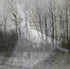 20110130175741-montage2copy