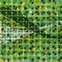 Arreola_2_copy