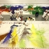20110131133137-_publish_worksimages_hn_217_lg