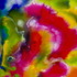 20110131182231-04_wolanska_11_x_14_watercolour