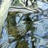 20110131191913-brook18