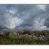 20110201061216-mdr_2009-bokkendoorns_v