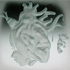 Think_with_your_head_not_ur_heart
