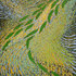 20110201151148-lederle-50x38-2011-4