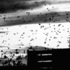 20110202134521-kildall_sm