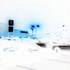 20110203141403-garden_of_eden_9_series_mack_2010