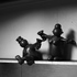 20110203180624-just_another_night