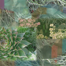 20110203215043-cactus_fire12x18