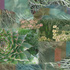 20110203215043-cactus_fire12x18