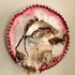 20110204020225-platterofdreams