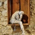 20110204065626-sychta_252