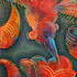 20110204092941-voodoo_hummingbird_2