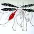 20110204111110-viviendo_con_sangre_ajena_2005