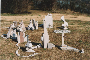 20110204125745-16_-_settling_ground