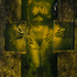 20110204143555-rolly_07-09_009