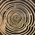 20110204151929-size-matters_teri-berlier