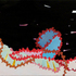 20110204214745-lasso