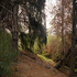 20110204230935-dino_dinco_untitled__ep_03_