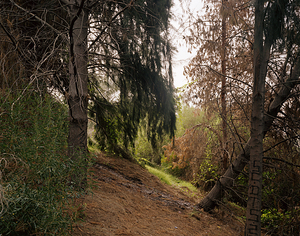 20110204230935-dino_dinco_untitled__ep_03_