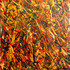 20110205102614-ethereal_element_series_-_lgr_empyrean