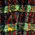 20110205123739-500_blanket_and_yellow_leaf_5000x3576