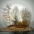 20110205135702-the_bubble_returns__300_