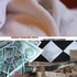 20110205182052-wro_ag_press