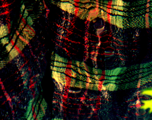 20110205184505-523_part_leaf_5000x3939
