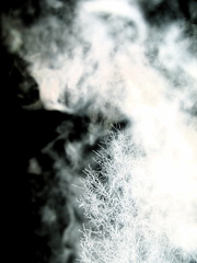 20110206052940-1