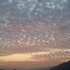 20110207081542-p1010815