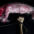 20110207110058-_mg_1228