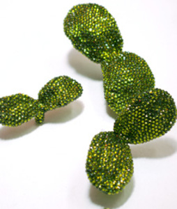 20110207141456-evergreen_2