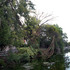 20110207151948-suspendedsept12