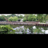 20110207152136-suspended_fromknotweed2