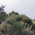 20110207153709-annisarch72