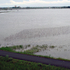 20110207154631-invasivewaterfloodadjremove