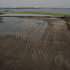 20110207154834-invasive_species_mail